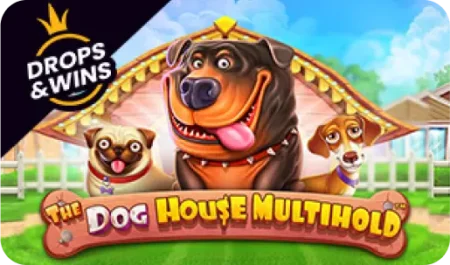 Gra Dog House Multihold na 888starz